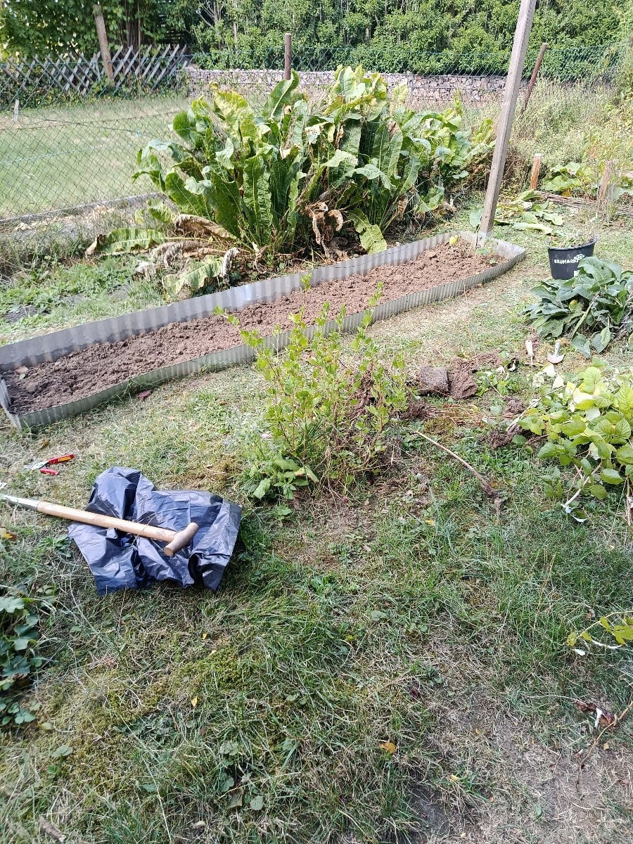 Heute bei unfassbaren 29°C komme ich natürlich auf die Idee, meine alten Himbeeren weg zu machen. Der Boden ist so knoc…