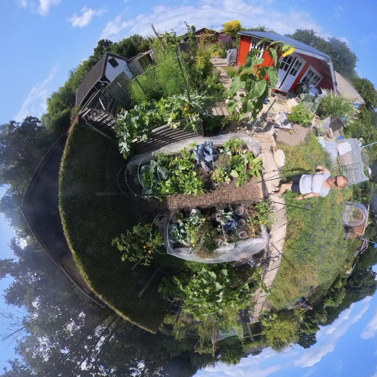 #mischkultur2026 

Ich habe im ersten Gartenjahr mit Reihenmischkultur begonnen, bin aber bereits kurz darauf bunt gewü…