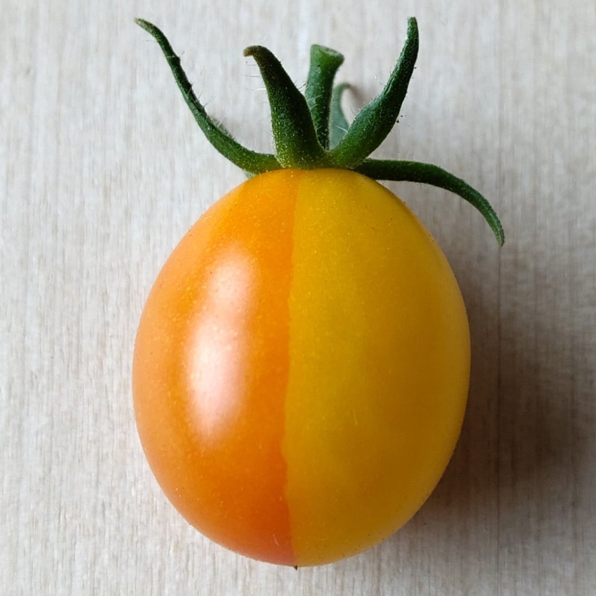 Was die Natur so alles macht. Die anderen sind alle komplett gelb. Es war auch kein Blatt drüber oder so 🤔
