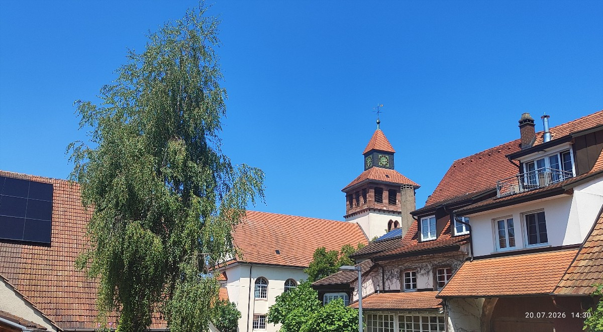 ..."Mein Freund, der Baum ist tot" 🥺 sang dereinst Alexandra...
... er starb zwar nicht im frühen Morgenrot, nein, es …