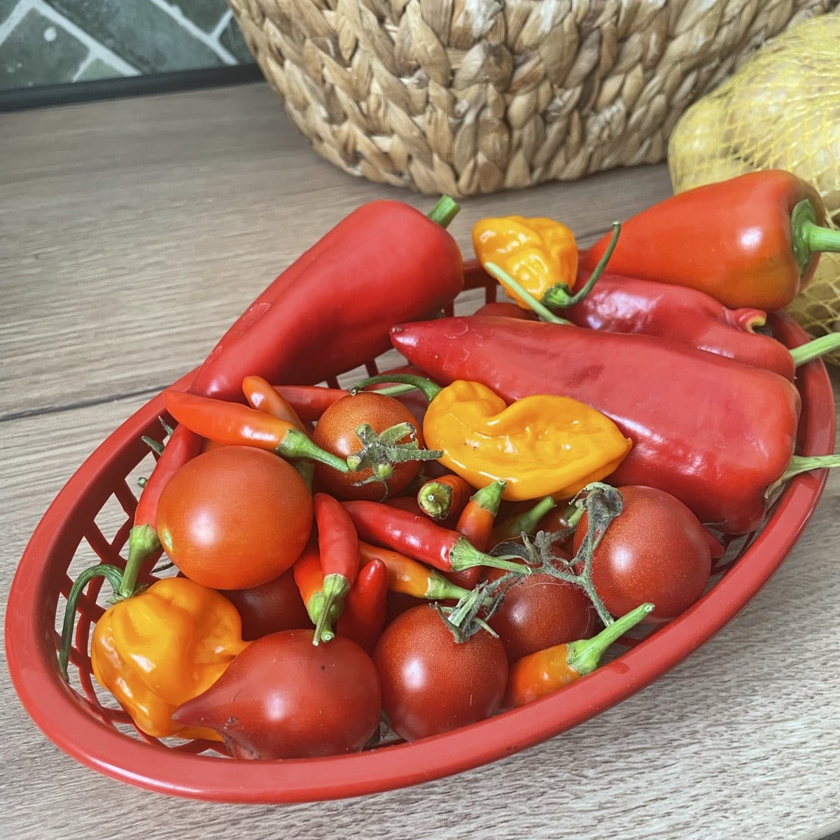 Wir nähern das Ende der Saison. 
