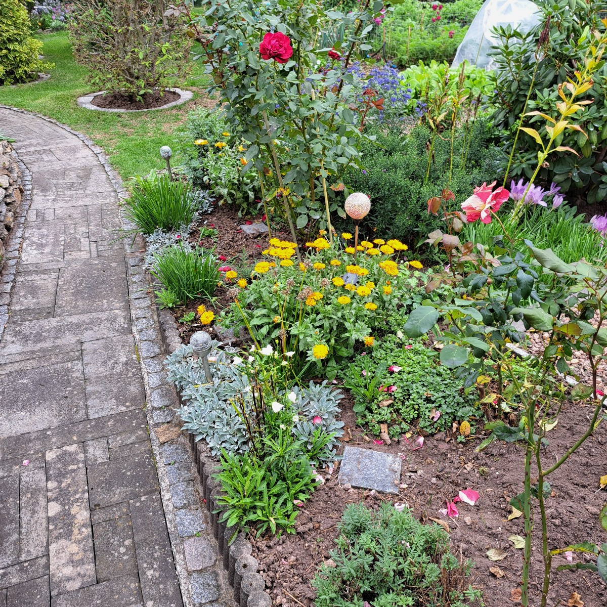 Hallo zusammen 😃

Ich hab heute den Ökologischerwert des Garten nach oben ↗️ geschraubt. Hab 12 neue Wilder Majoran, 4…