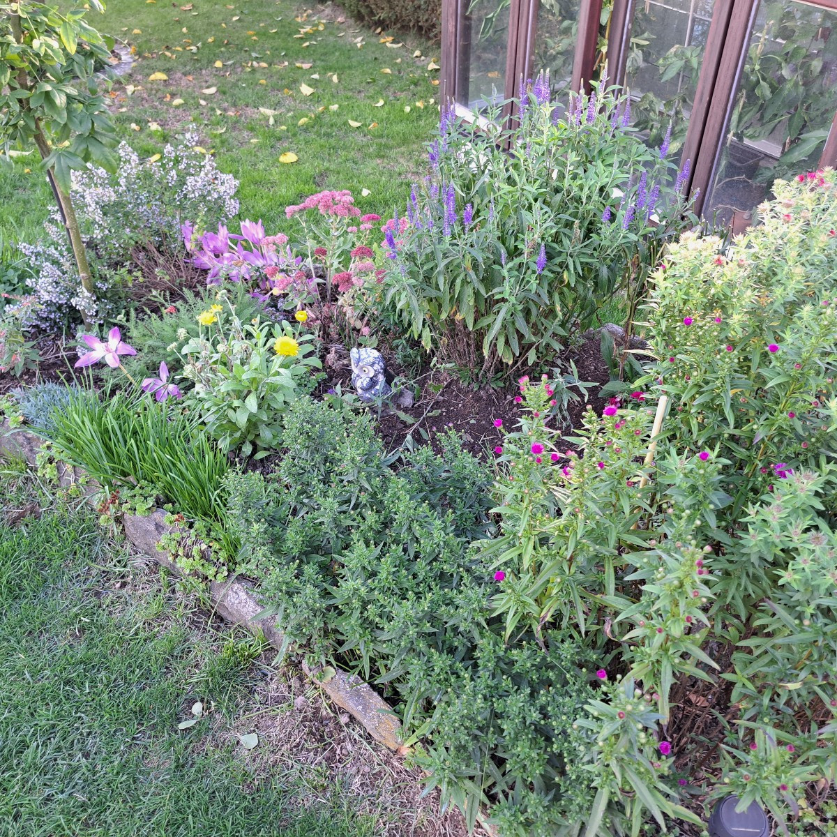 Hallo zusammen 😃

Ich hab heute den Ökologischerwert des Garten nach oben ↗️ geschraubt. Hab 12 neue Wilder Majoran, 4…