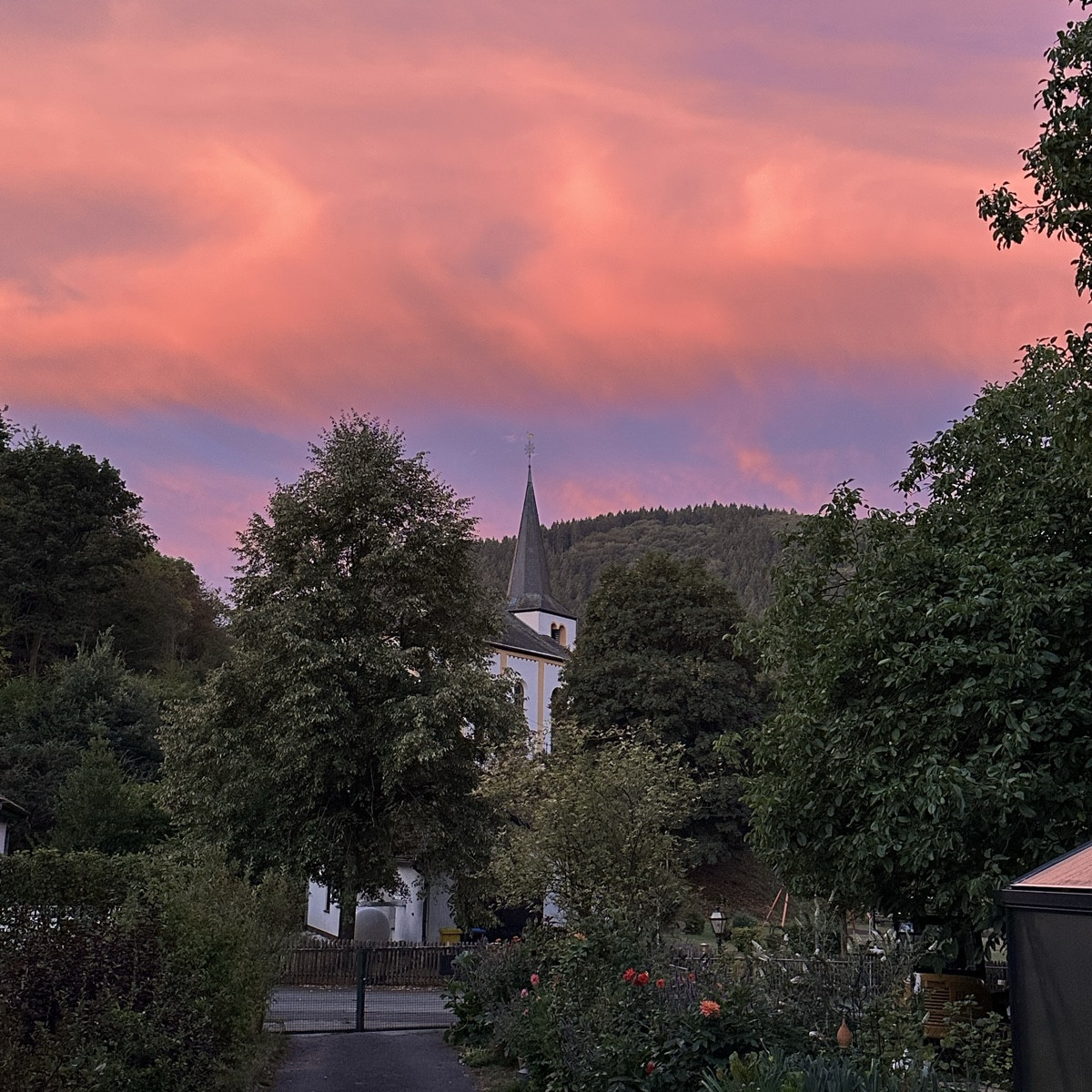 Guten Morgen ☀️ 