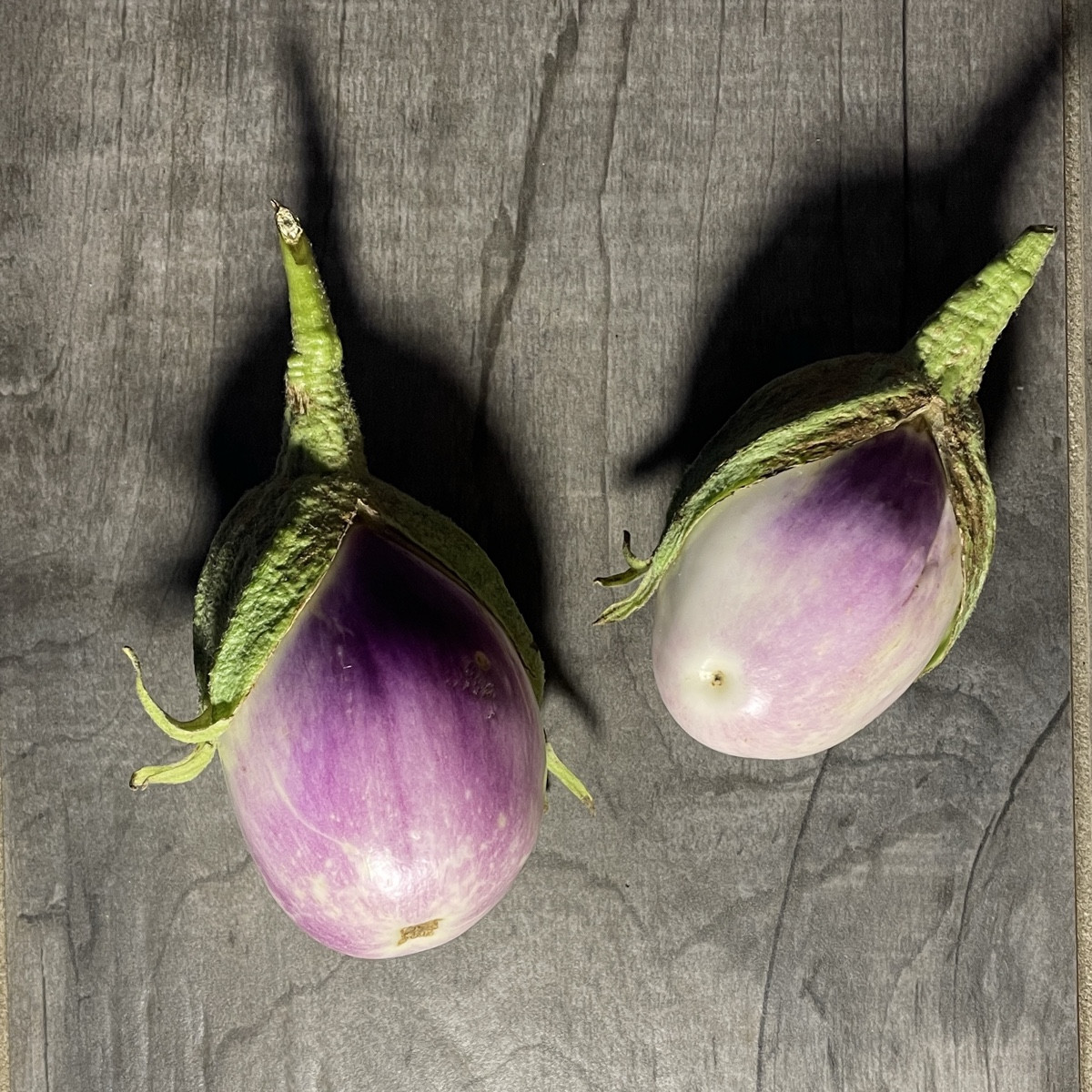 kleine 🤭 Tomatenernte heute (Harzfeuer, Hellfrucht, Dattelwein, White Pulm, Gelbe Johannisbeere, Mörchenmonster, Green…