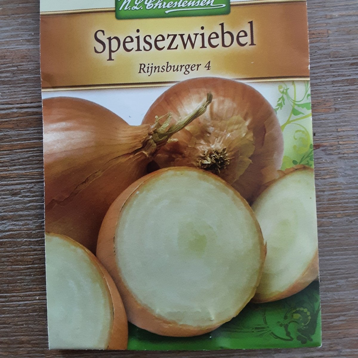 Rijnsburger4