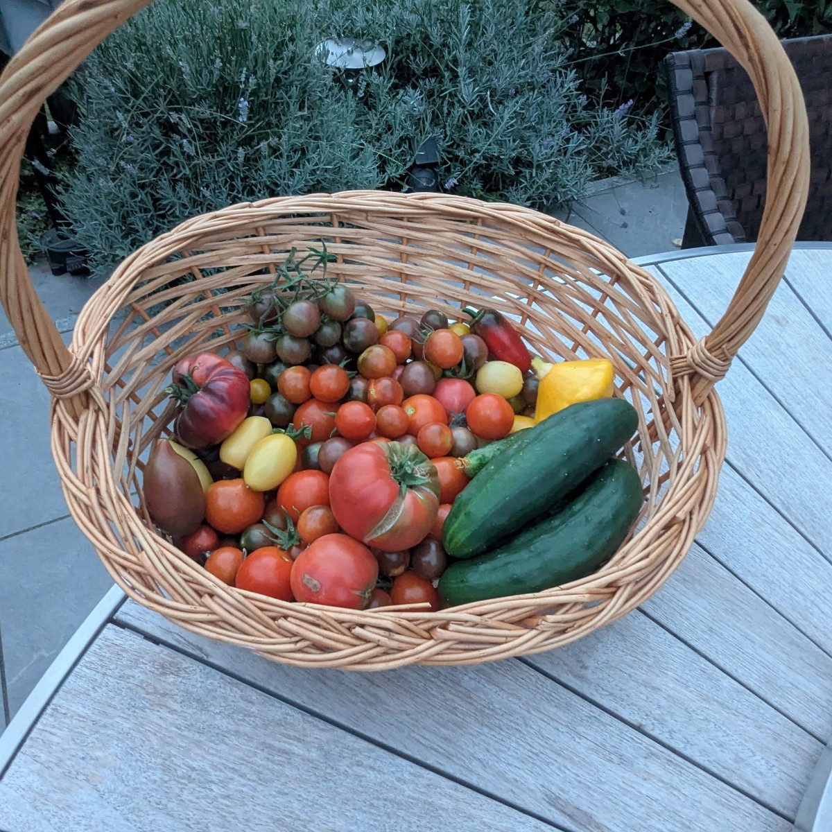 Kurzer Eindruck der Ernte diesen Jahres. Gurken reichen definitiv für das ganze Jahr. Geschätzte 30 kg bisher verarbeit…