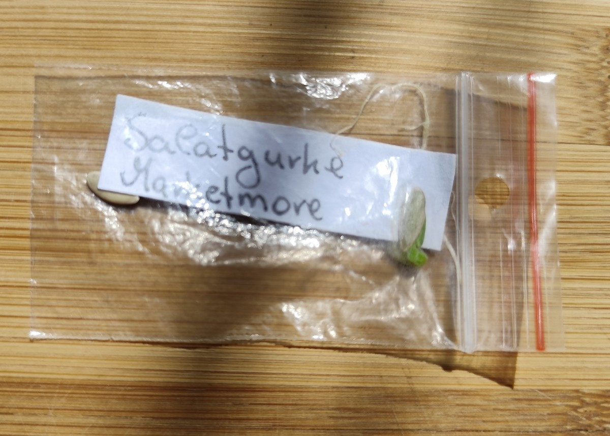 Welch Tapferkeit!
Vor zwei Wochen leider in der Arbeitshose mitgewaschen, gerade gefunden...das verdient eine Chance! D…