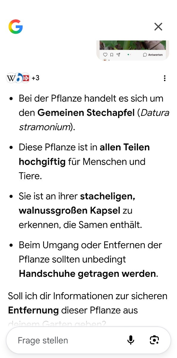 Iwi war meine Antwort im Nirwana stecken geblieben..