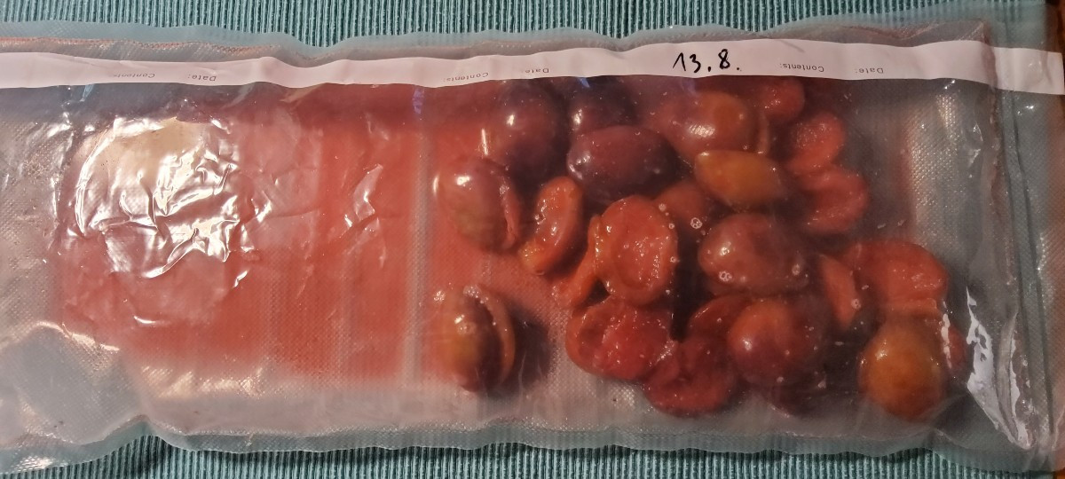 ...Tag 6: Lakto-fermentierte Pflaumen(Zwetschgen) ☺️