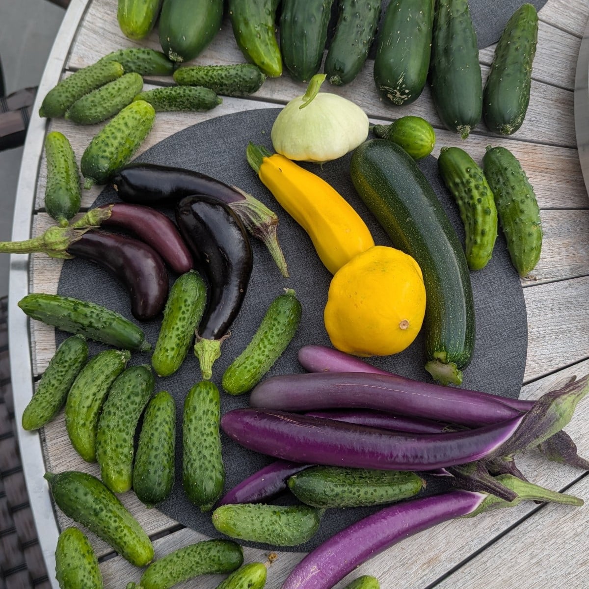 Kurzer Eindruck der Ernte diesen Jahres. Gurken reichen definitiv für das ganze Jahr. Geschätzte 30 kg bisher verarbeit…