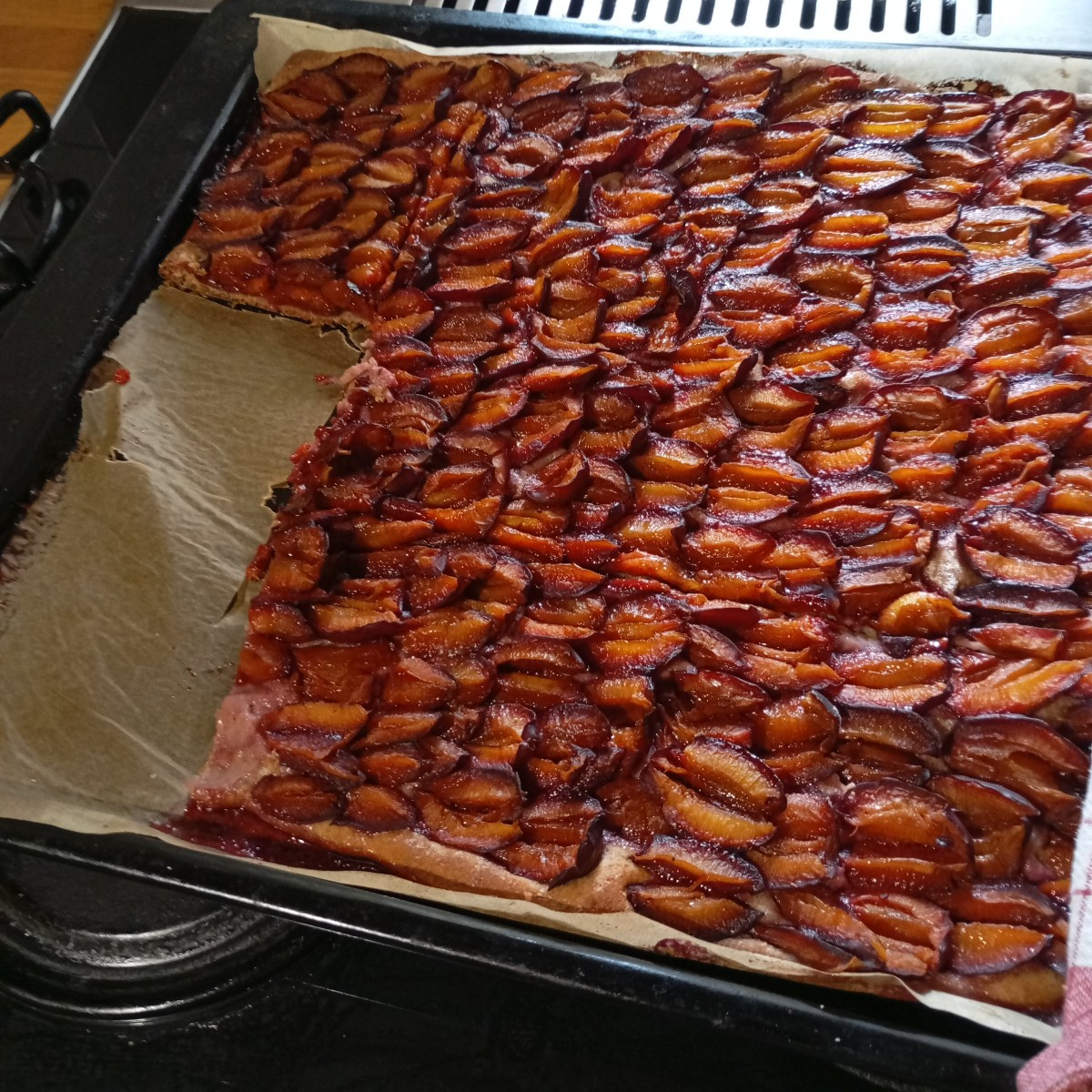 Heute meine Karotten geerntet und beim Nachbarn Zwetschgen gepflügt Zwetschgen kuchen hat meine Frau gemacht 