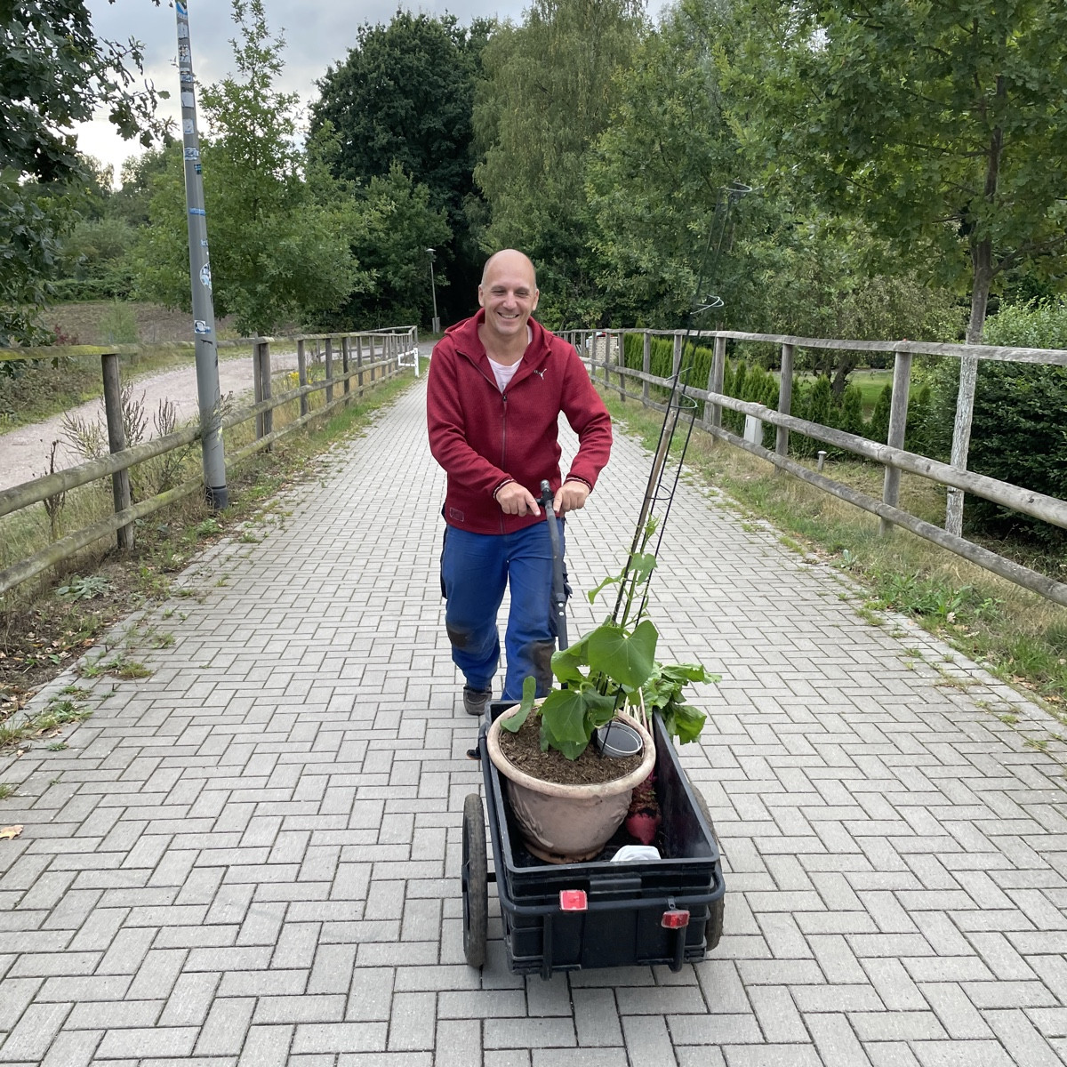 Meine Wespenspinne hat sich einen Falter gefangen und ich musste feststellen, dass sie sehr haarig ist 🤭

Und dann ist…