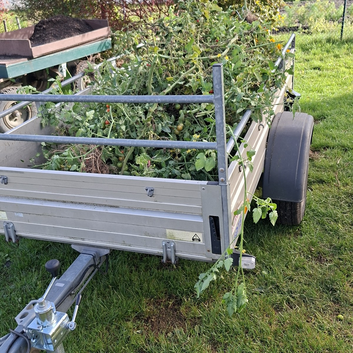 Diese woche haben wir in Folienentunnel 1 alle 240 Tomatenpflanzen entfernt und neue Beete angefangen anzulegen, in den…