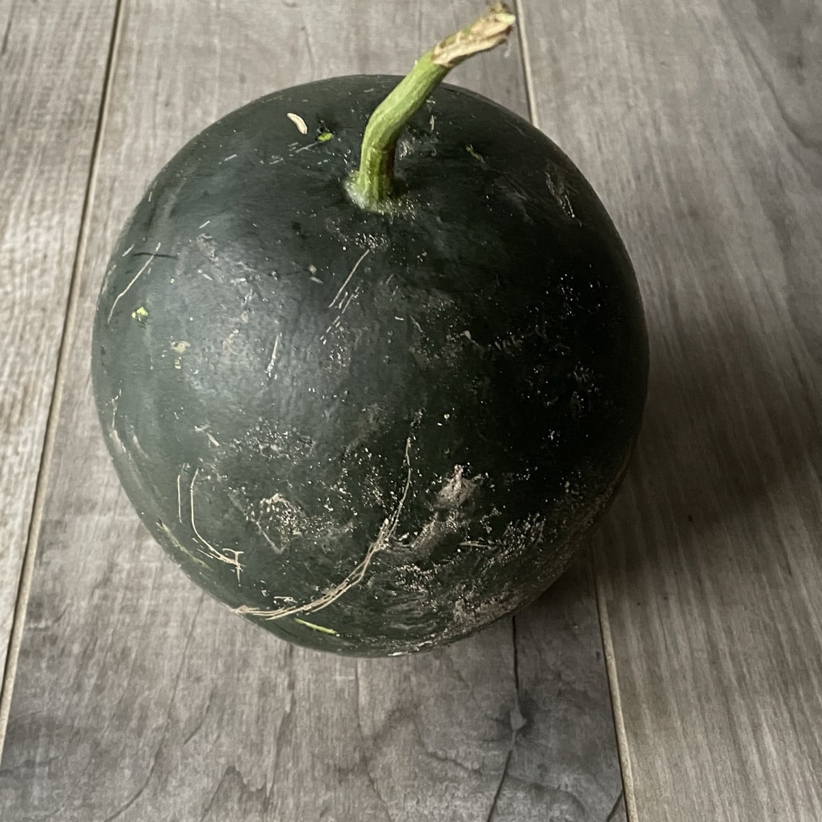 Meine Wamel hat sich selbst geerntet - ca. 2,6 kg… Montag werden wir sie wohl schlachten 😬