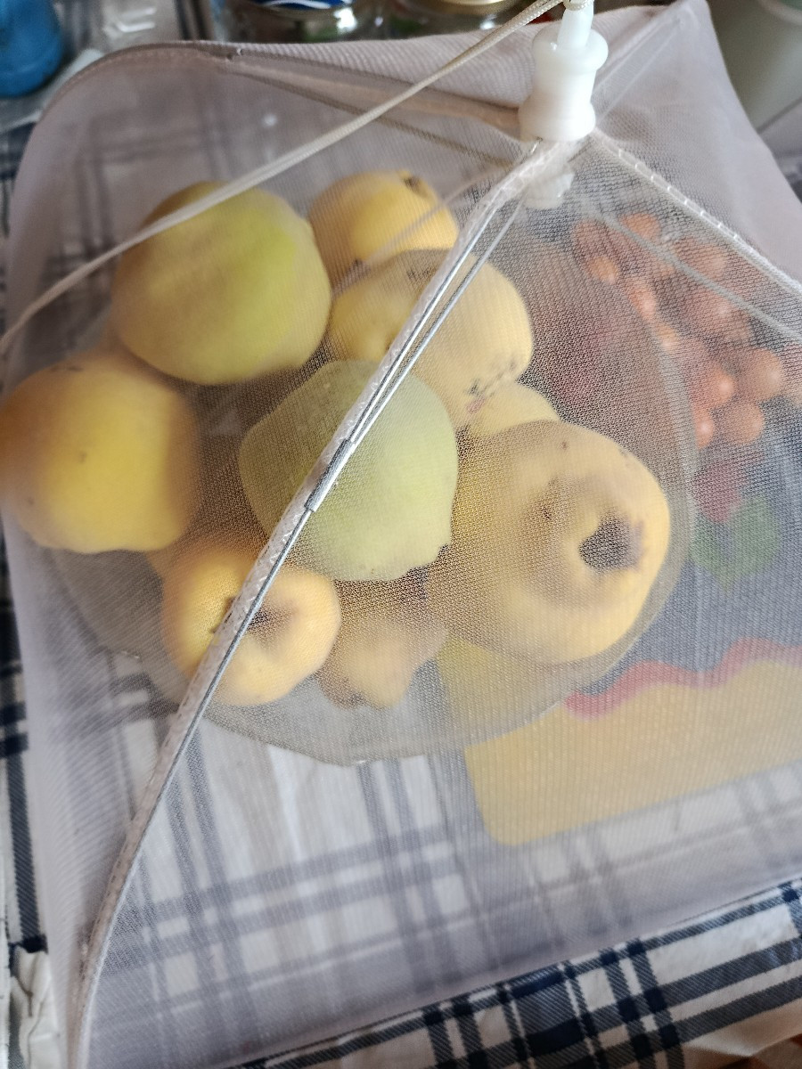 Heute habe ich nochmal Quittenmarmelade gekocht. Von dem Rest werde ich nochmal gebackene Quiten machen und ein Quitten…