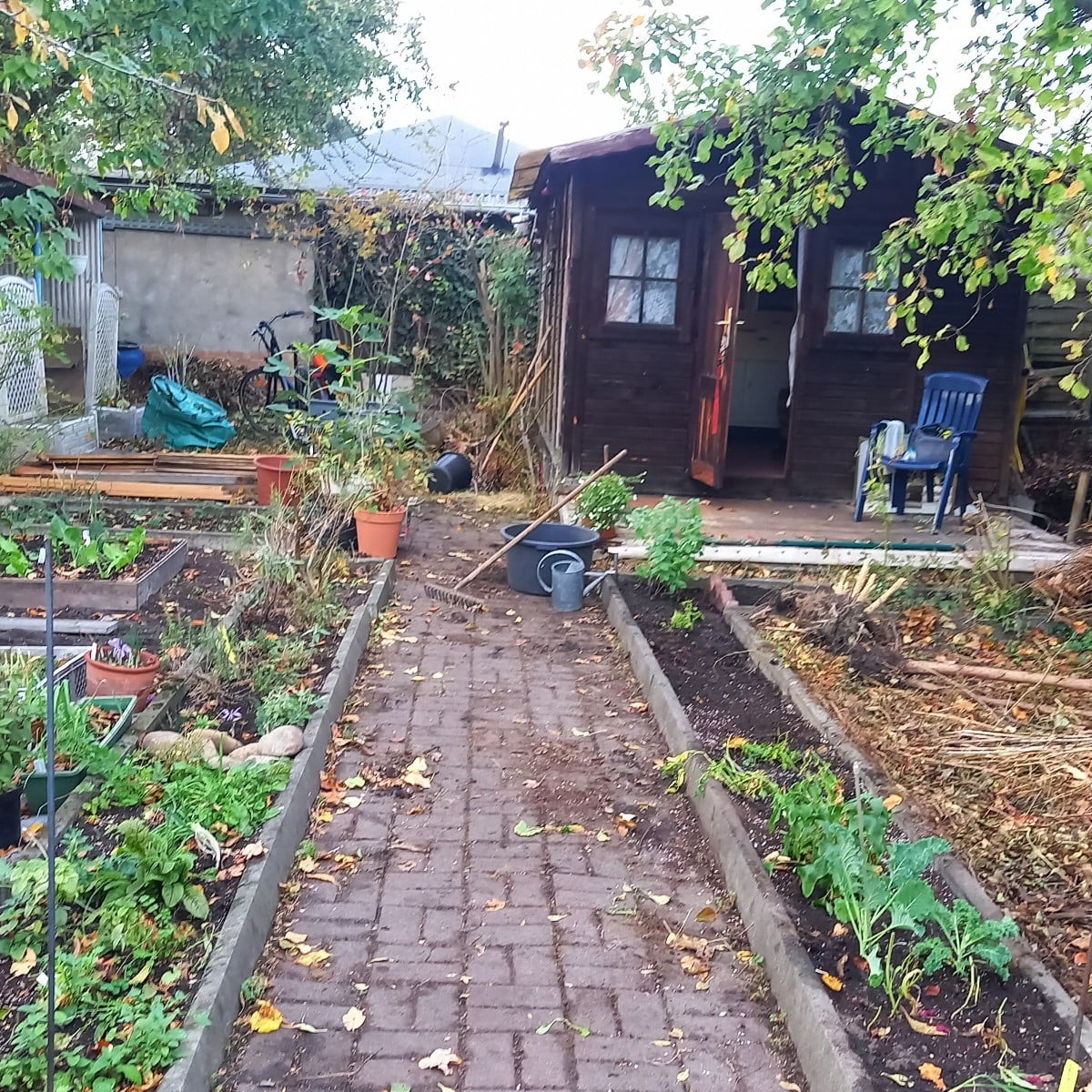 So ziehe ich meinen Garten um.  Bretter für die Beetrahmen, zwei Mòrtelkisten mit Beerensträucher und den Feigenbaum ha…