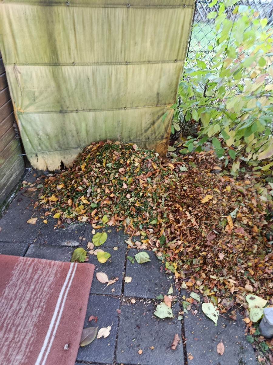 Heute war mal die Hecke dran. Feuerdorn ist echt übel zu schneiden. Am besten mit der Handastschere und die Dornen sind…