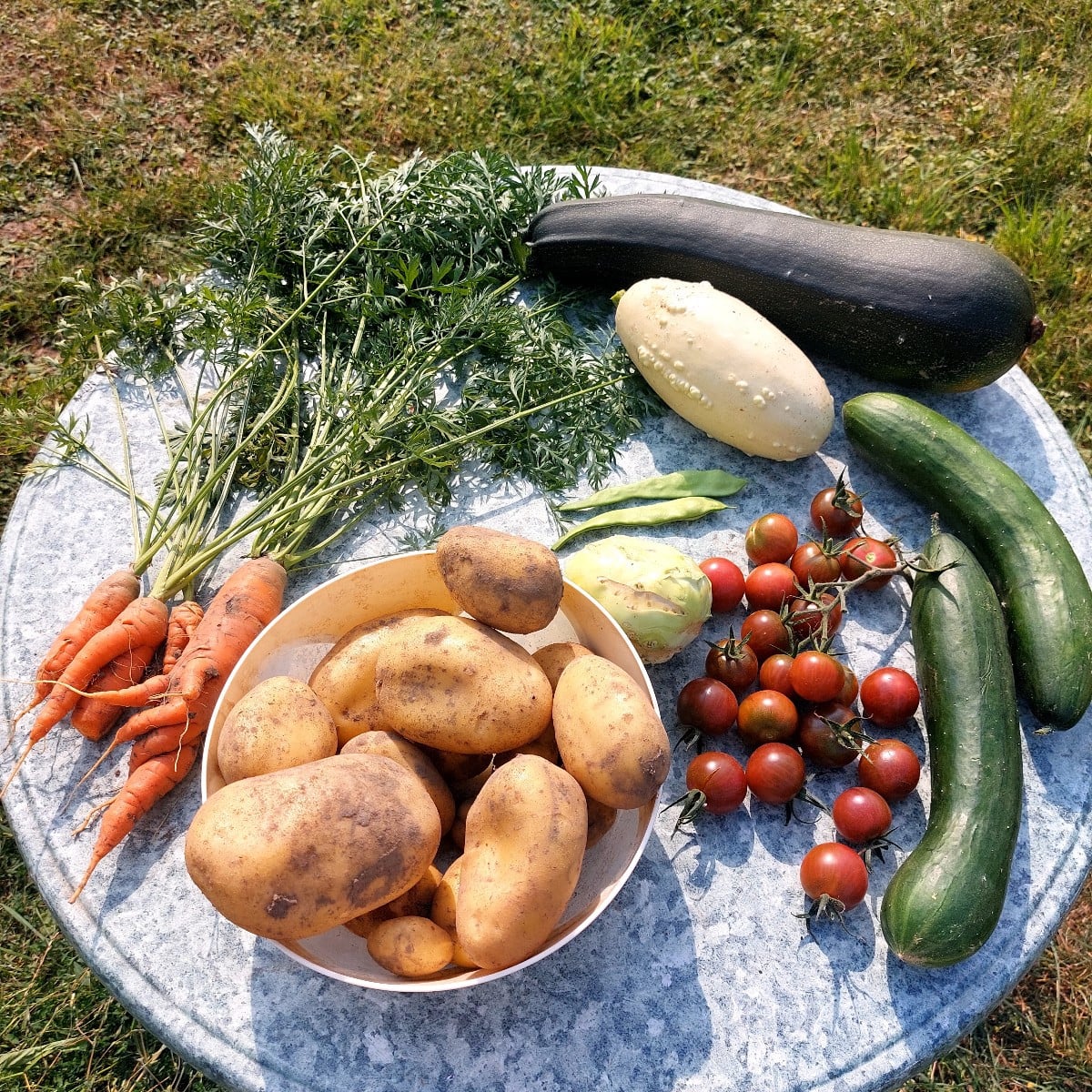Ich habe dieses Erntejahr viel über meinen Garten gelernt. Ich fühle mich bereits inspiriert fürs nächste Jahr. 😄
