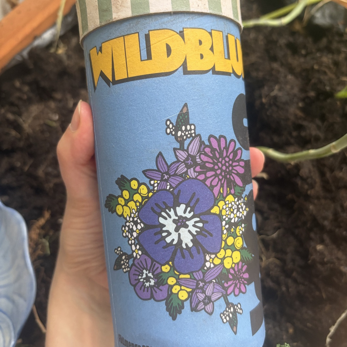 Ich war gerade die Baumscheiben vor dem nächsten Regen aufbessern, wilde Tulpen pflanzen und hab noch schön diese Wildb…