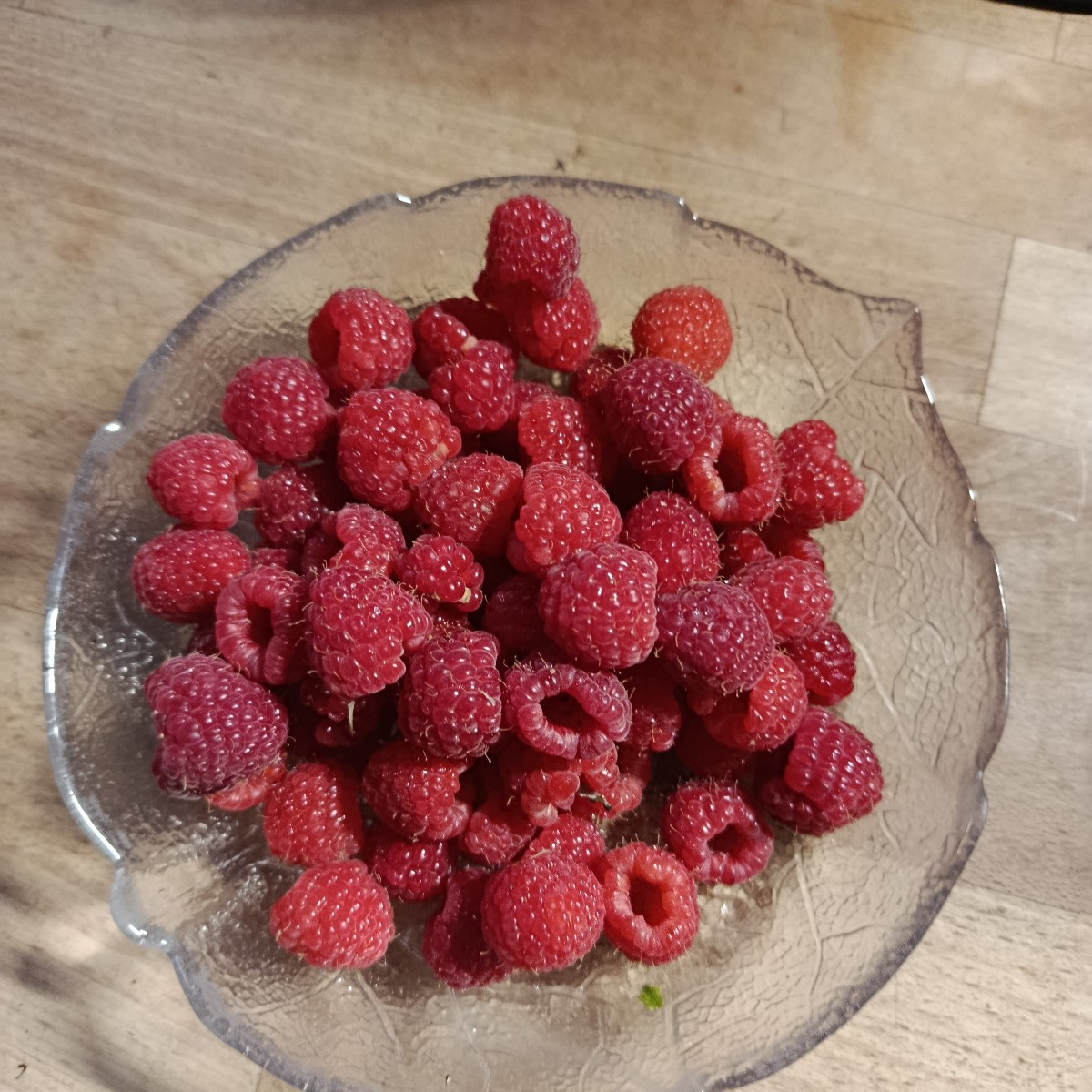 Himbeeren sind es nur 1/4 der normalen Ernte, aber immerhin. Kleine Ernte an Karotten, Birne und Äpfeln. Die Äpfel fall…