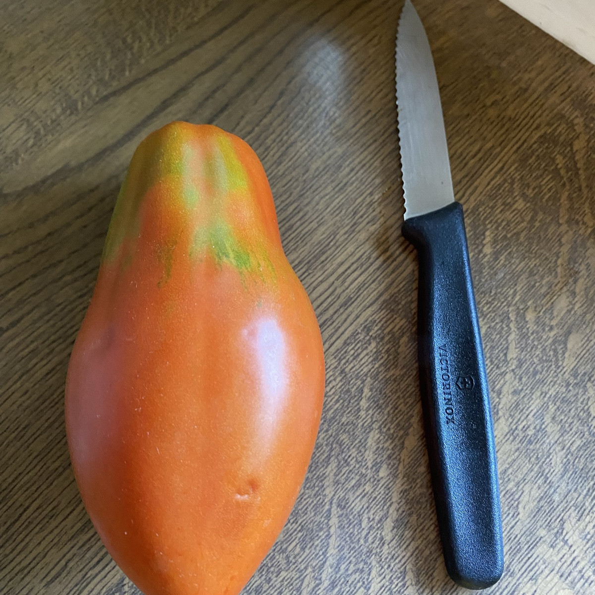 Hallo 
wollte mal die Tomatenexperten fragen, ob jemand diese Sorte kennt.
Hab die Jungpflanzen geschenkt bekommen, abe…