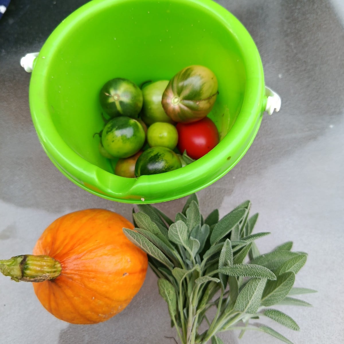 Letzte ernte aus unseren Garten .Für dieses Jahr .