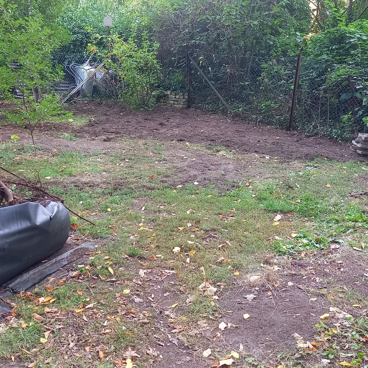 Das ist mein alter Garten. Da wo jetzt blanker Boden ist, waren Hochbeete, Beerensträucher, Stauden, Bodendecker,Sumpfb…