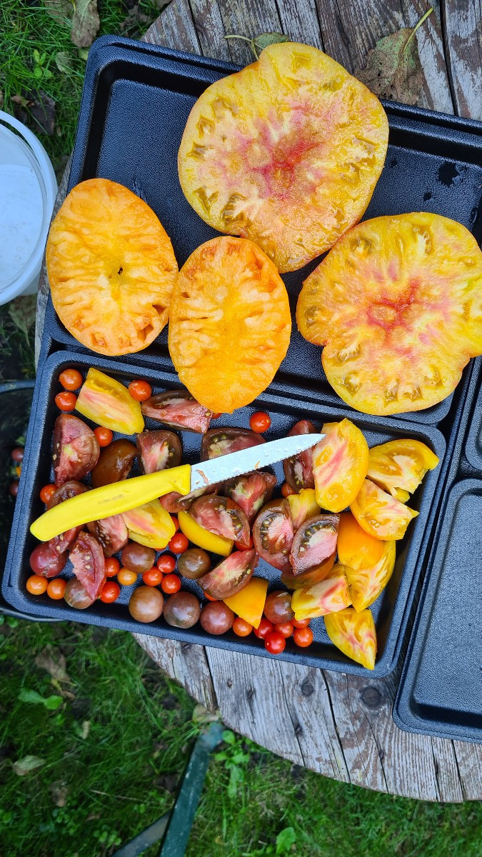 Schatz, heute gibts Tomatensalat.....