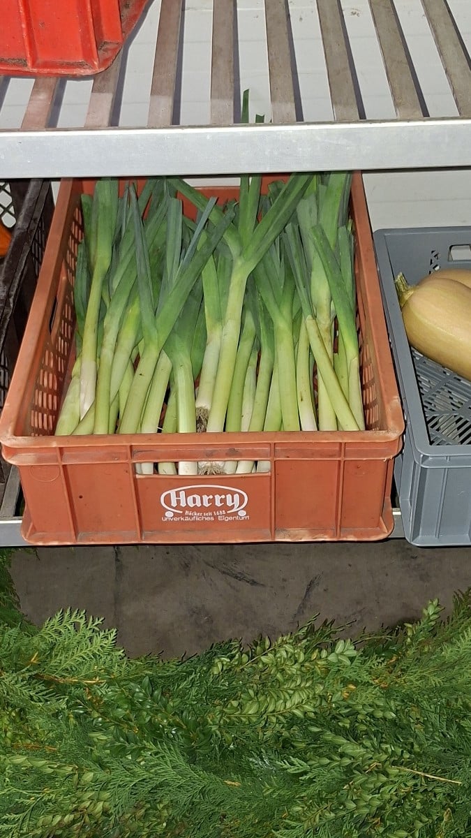 Am Dienstag und Mittwoch haben wir wieder gemüse für den Verkaufsstand und für Edeka geerntet. Auch ist hier wieder vie…