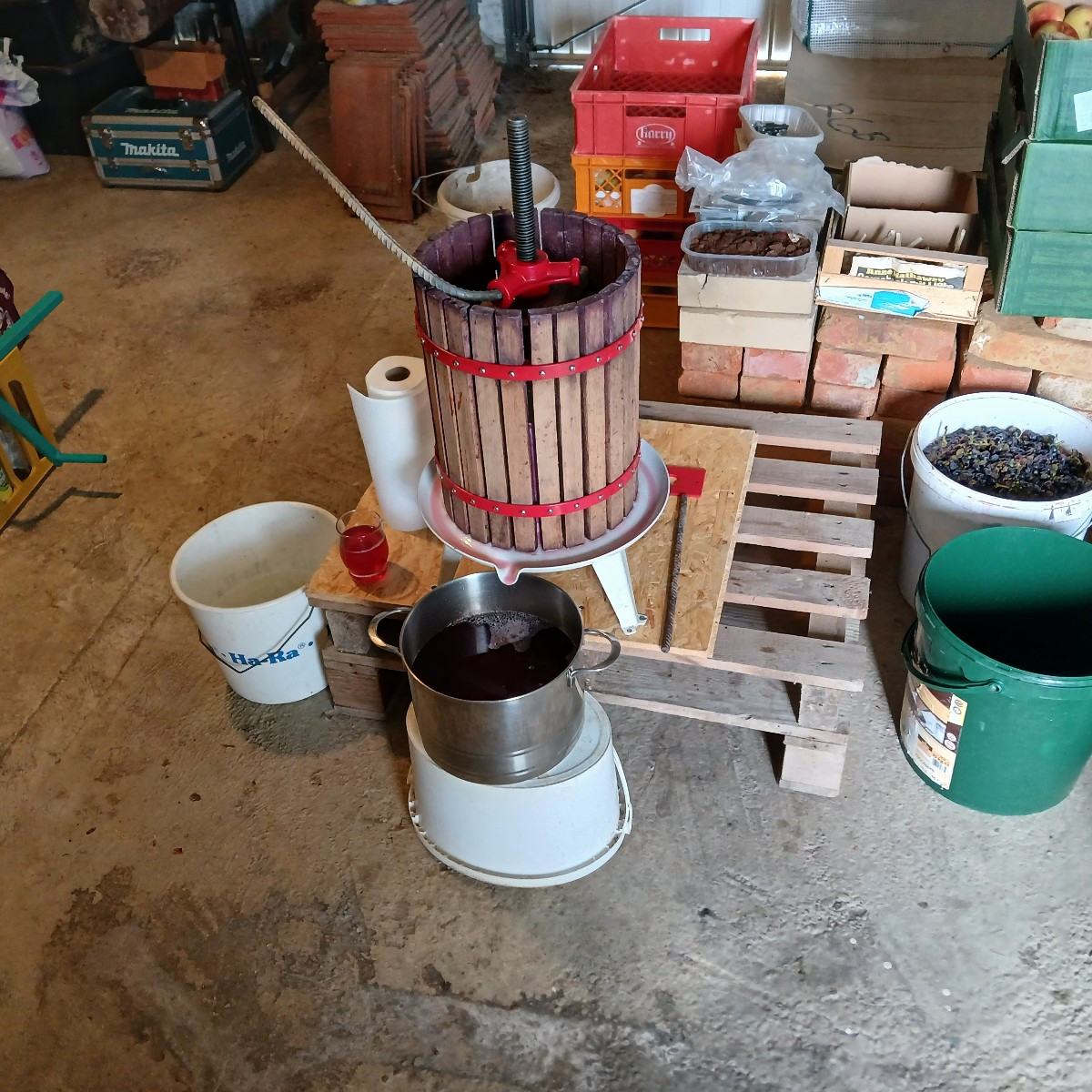 Wir haben gestern den Feiertag zur Weinlese genutzt, jetzt gehts ans verarbeiten