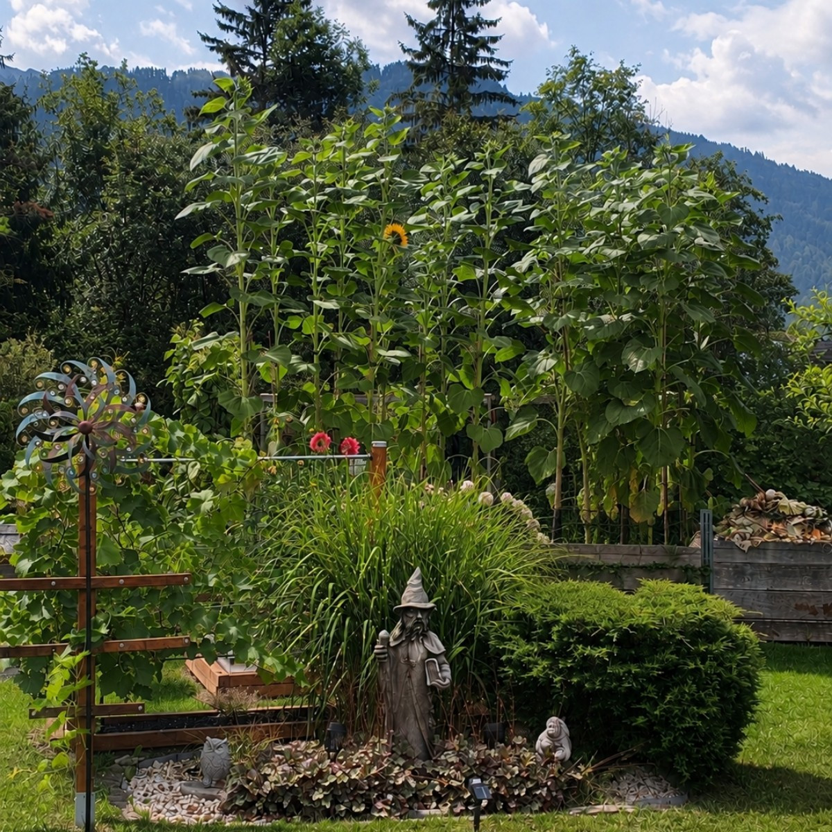 Hallo Gartenfreunde👨🏼‍🌾👩‍🌾. Hier ein kl. Gartenupdate aus Admont/Steiermark von Ende August. Liebe Grüße Gregor🙋🏼