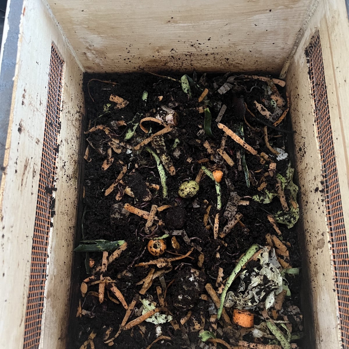 Update in Sachen Wurmkiste
Ich konnte gestern ca. 12L wunderbar krümeligen Wurmhumus ernten. 
Jemanden hats hier Mal ge…