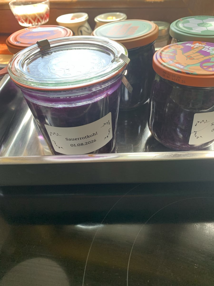 Ich musste mein Rotkohl retten. Die Natur war dieses Jahr schlauer als ich und hat doch eine Möglichkeit gefunden unter…
