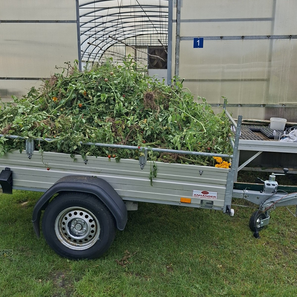 Diese woche haben wir in Folienentunnel 1 alle 240 Tomatenpflanzen entfernt und neue Beete angefangen anzulegen, in den…