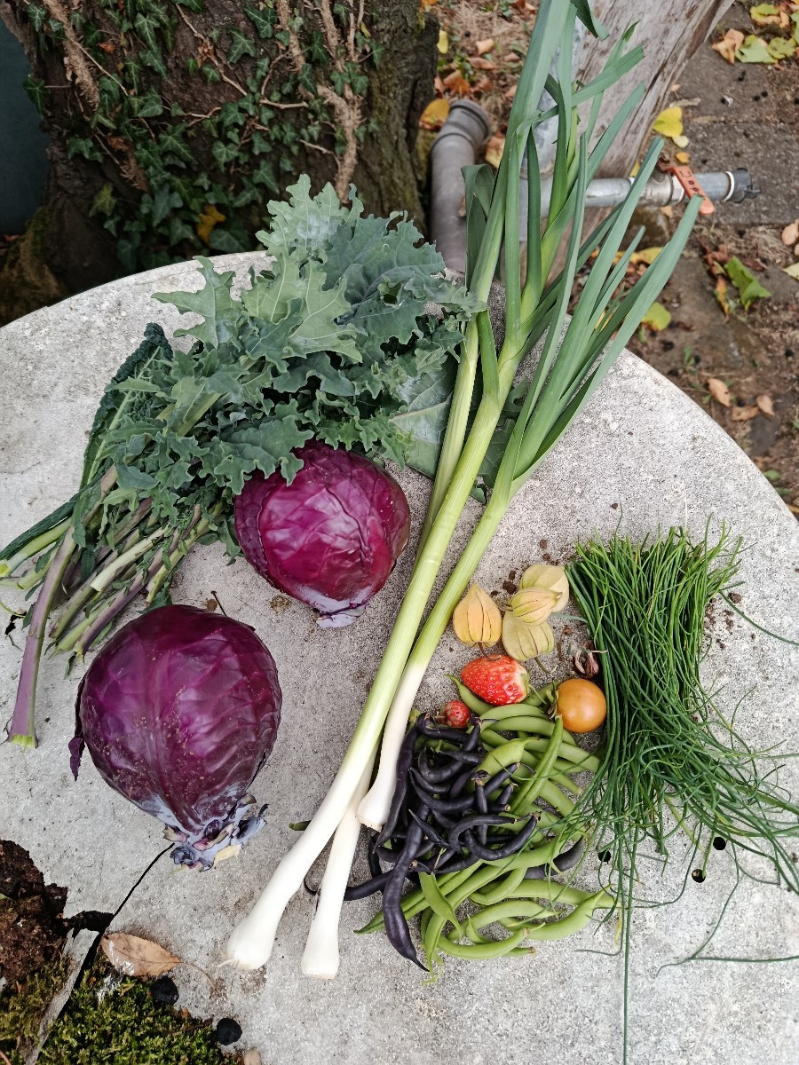 Heute habe ich angefangen den Garten winterfest zu machen. Das heißt, Klo mitgenommen, Wasserkanister entleert, Pumpe a…