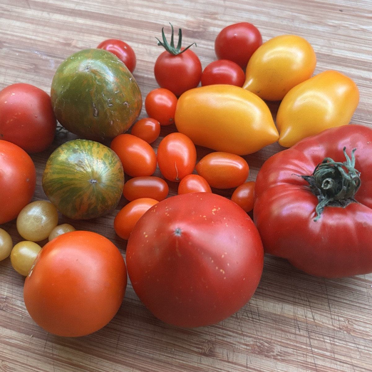 Tomatenimpression aus dem Norden! Alle meine Tomatensorten haben mir ein reiche Ernte beschert 😊🌞