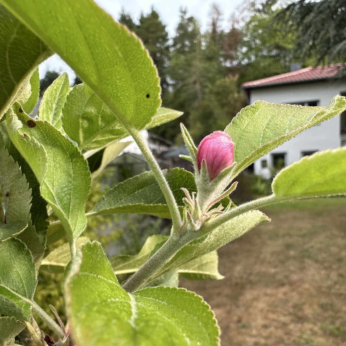 Was für ein verrückter Sommer…