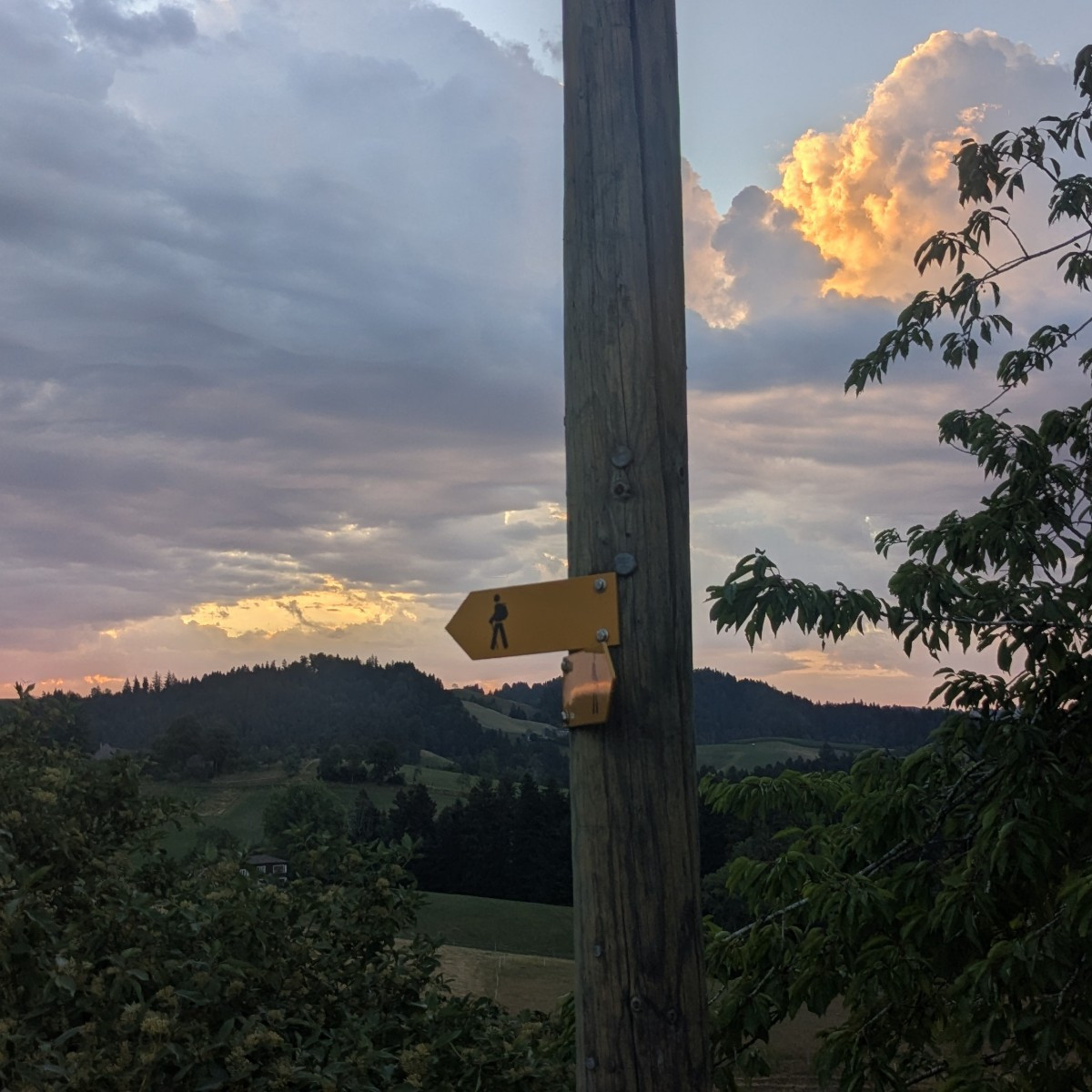 Bilder wie im Herbst, aber endlich gabs n guten Gutsch Regen 🥰
Zwar grad bissl viel auf einmal, für den harten Boden, …