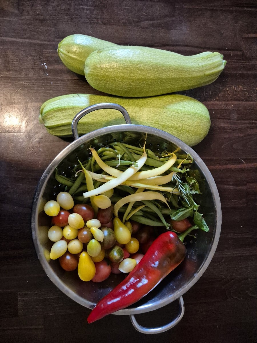 Die Buschbohnen haben nochmal richtig Gas gegeben, das hat bei mir im Oktober noch nie geklappt! #einkaufenimgarten Sor…