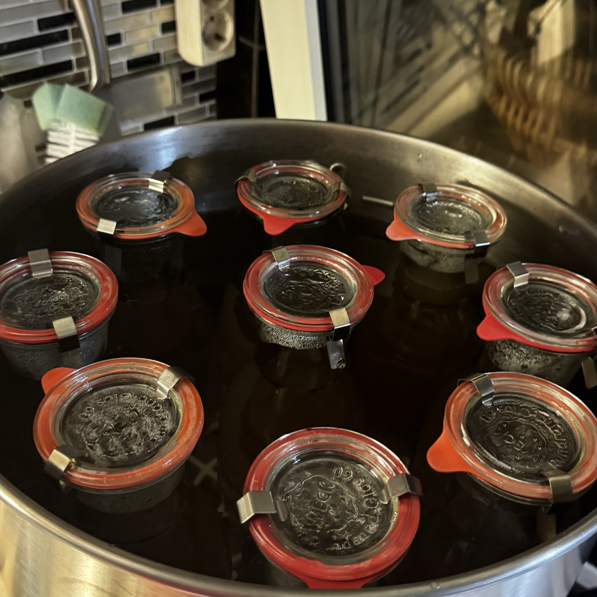 9 Liter selbstgemachter Traubensaft mit einem Hauch echter Bourbon-Vanille – der Geschmack unseres Gartens in Flaschen.