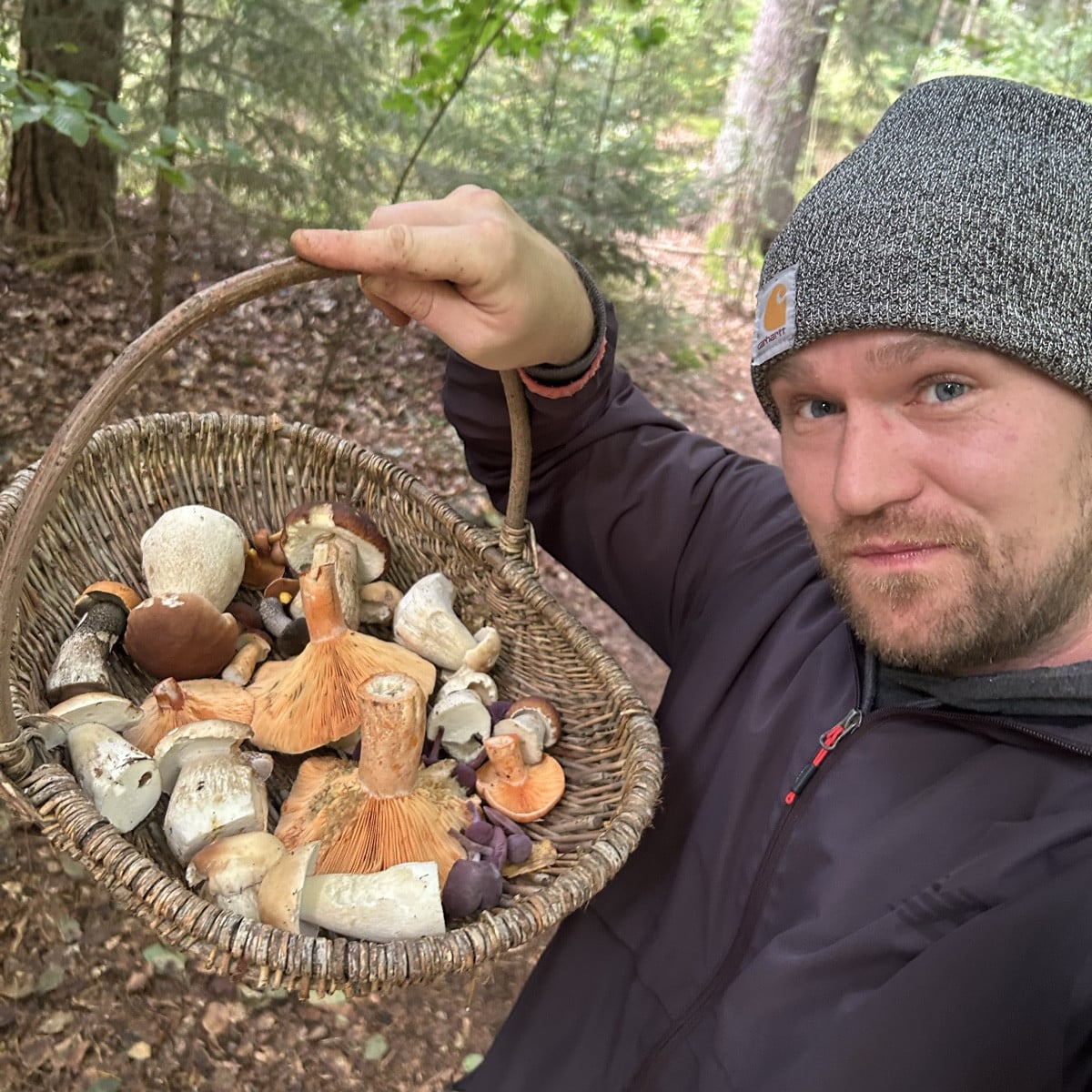 Fungi Monday 😇🍄‍🟫

Heute eine schöne Tour gehabt mit vielen herbstlichen Eindrücken und einer Vielfalt an Pilzen. Di…