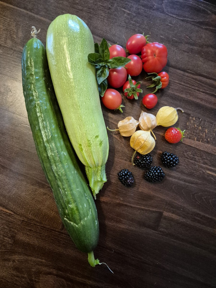 Eine Minifleischtomate und die Ernte von heute morgen. Ein paar Gartenbewohner getroffen habe ich auch noch.