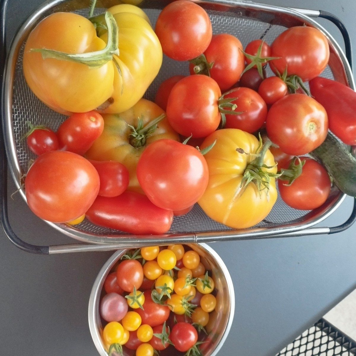 "Kleine" Tomatenernte. 😋Das ist immer wieder eine Freude.😍
Na , wie viele Sorten sind es?
Mit welchen Sorten habt ihr…
