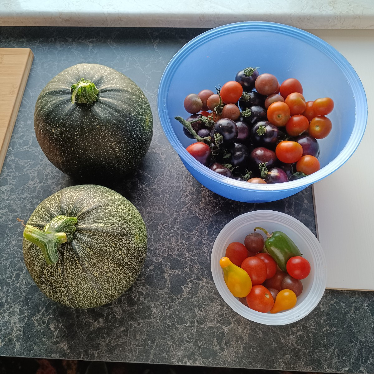 Größere Ernte aus unserem Garten.
Wir ernten zur Zeit jeden Tag mindestens eine handvoll Tomaten und jede Woche mindest…