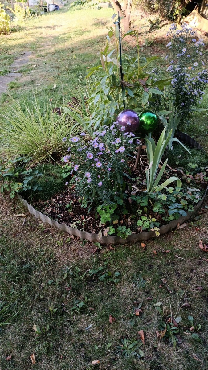 Ein paar herbstliche Impressionen aus dem Garten. Eine schöne Stimmung gegen Abend. Musste heute die Stauden und Sträuc…