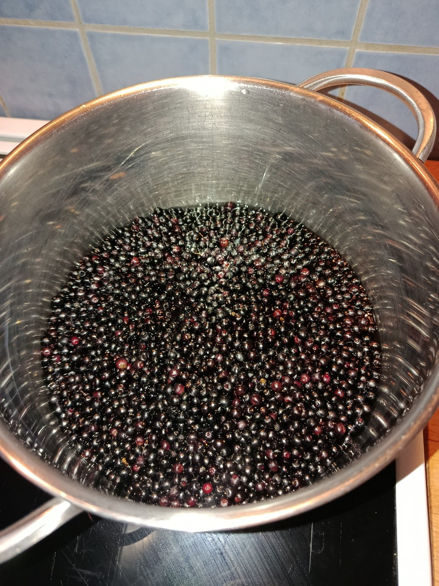 Die ersten #hollerbeeren kochen. Ich musste heute den Hollerstrauch zum Nachbarn zurückschneiden, damit die Hofplatten …