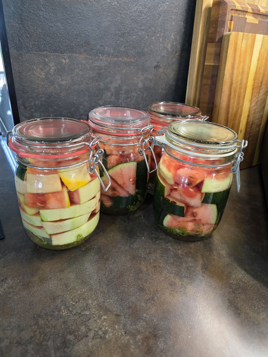 Leider muss ich alle Wassermelonen ernten,  paar sind noch nicht richtig reif, also hab ich die erstes mal fermentiert.…
