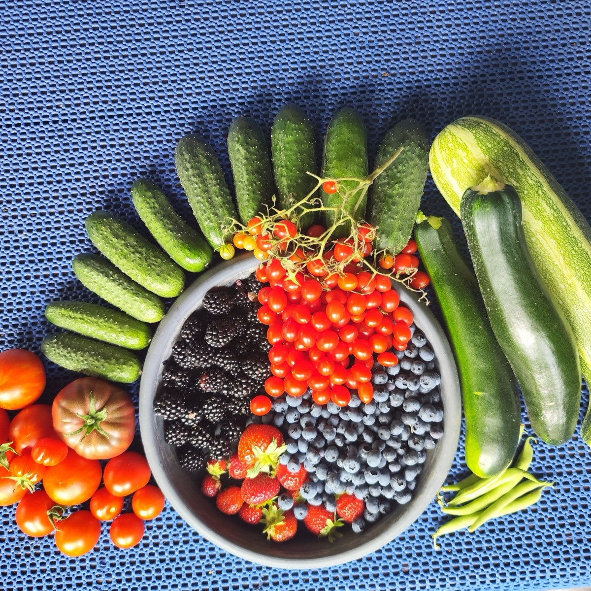 This year, my garden has EVERYTHING. From a total failure with the cucumbers to bolted lettuce and failed cauliflower, …