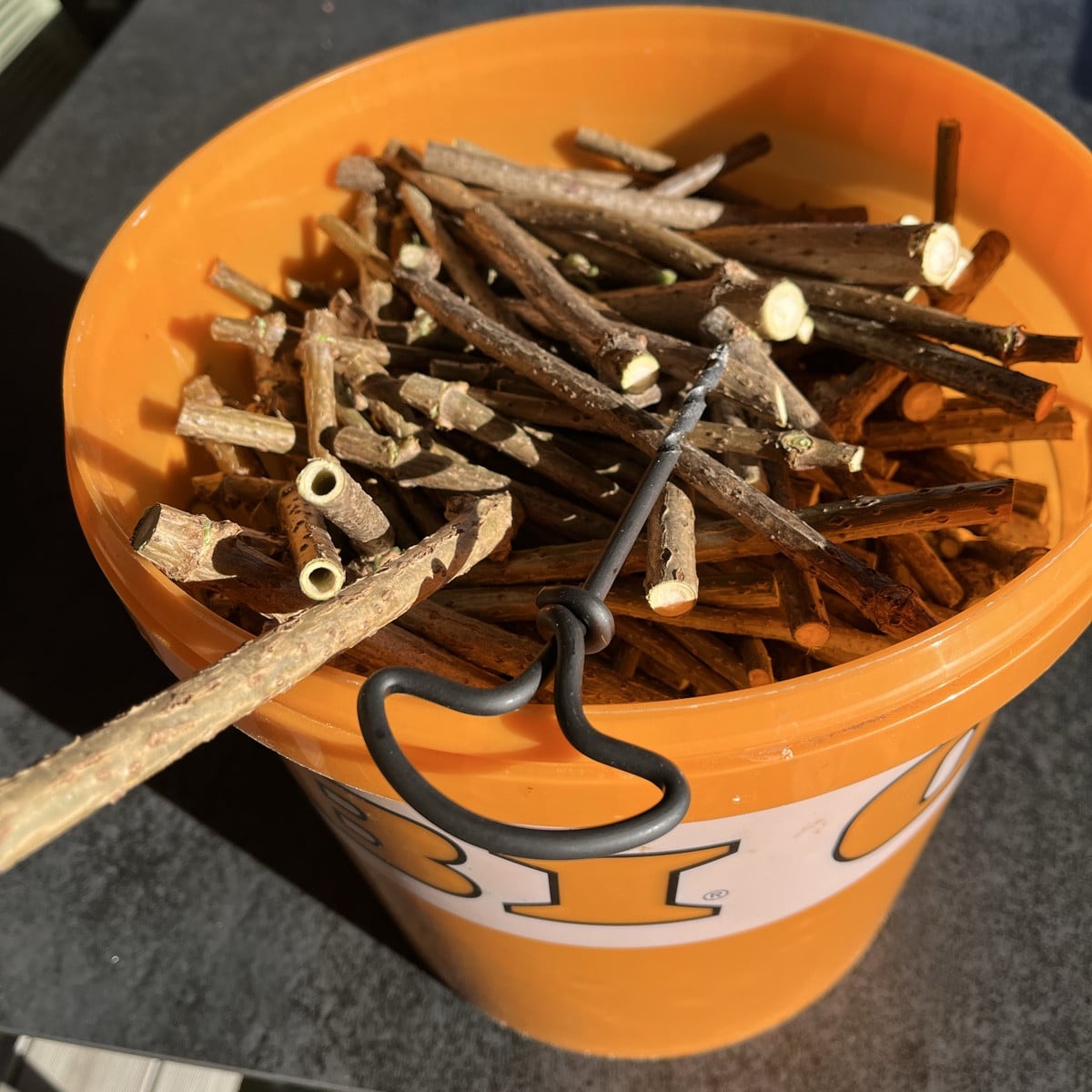 Das wäre so die geplante Herbst-/Winterbeschäftigung 😉 Holunderästchen aushöhlen für eine zusätzliche Insektenpension.…